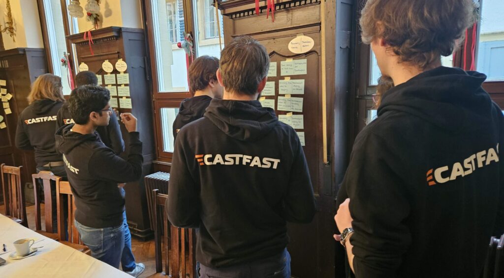 the CASTFAST team at a workshop