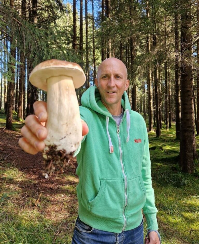 Markus found a mushroom